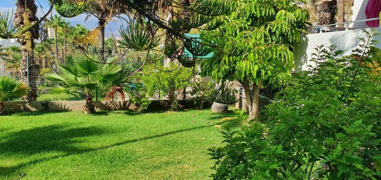 Adults Only Sunny Quiet Apartment In Center Of Las Americas Arona  Ngoại thất bức ảnh