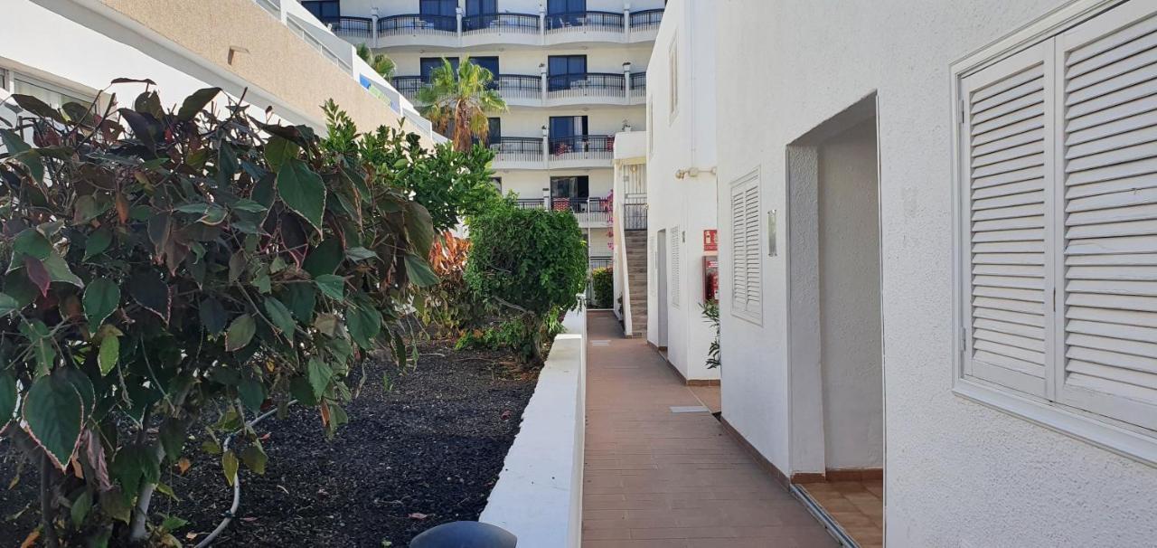 Adults Only Sunny Quiet Apartment In Center Of Las Americas Arona  Ngoại thất bức ảnh